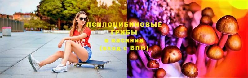 Галлюциногенные грибы Magic Shrooms  где продают   Алейск 